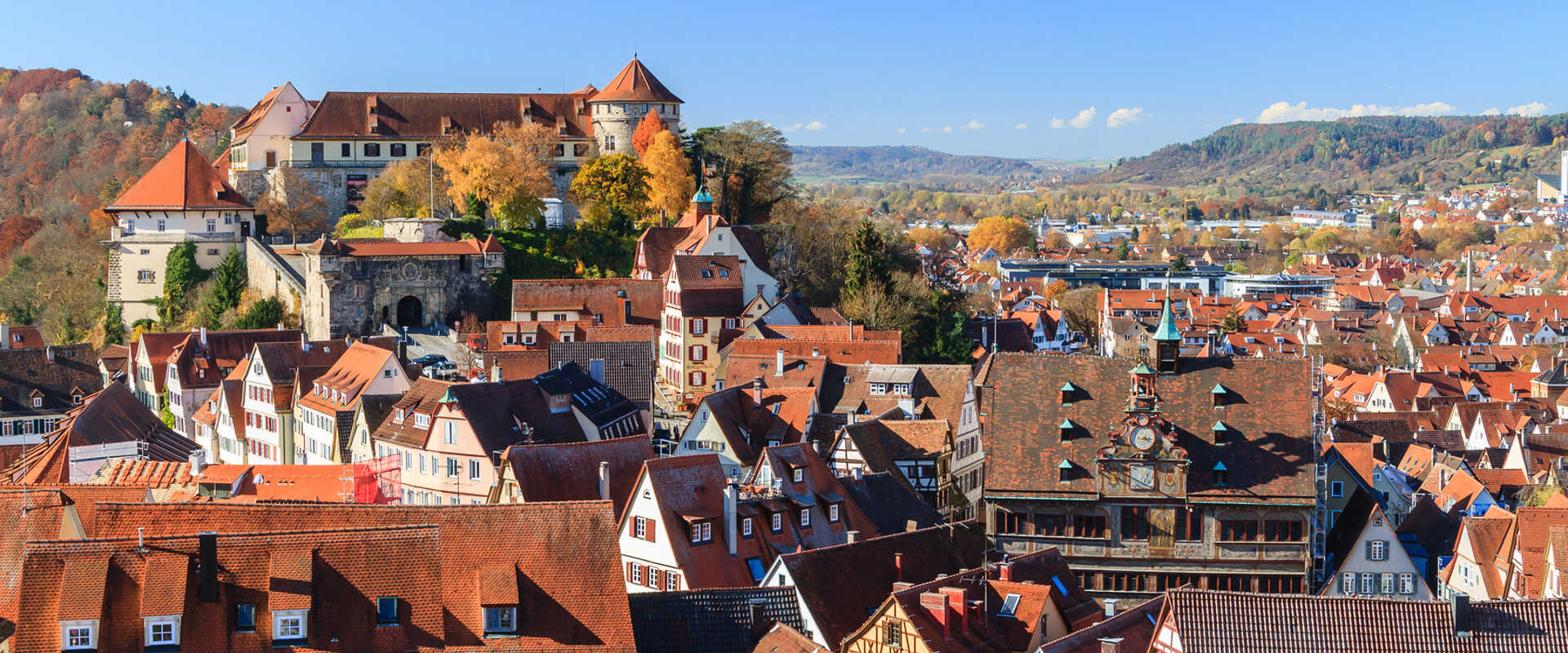 Dächer der Altstadt von Tübingen